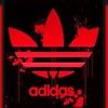 tyler_stelzer